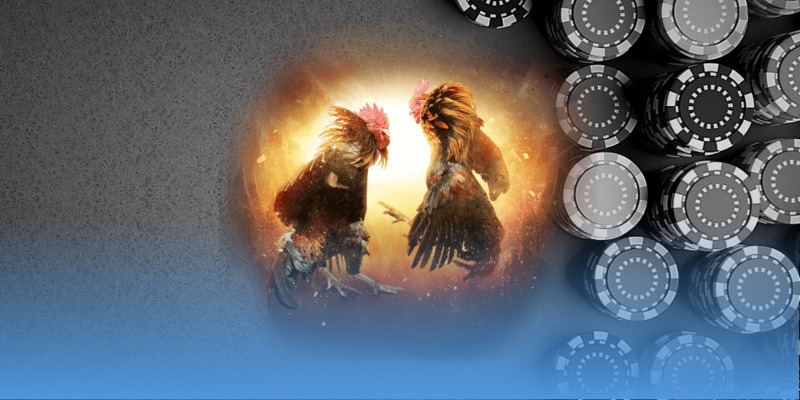 78win ⚽️ Trang Chủ WC 78WIN.COM T/7 2026 iptvbrasil | +78k 24 Sự kiện ưu đãi dành cho hội viên